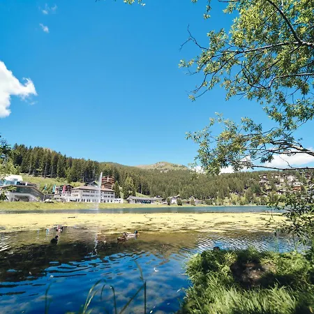 Padrun 4-Weisshornbahn-Arosa Zentrum-Top Lage Daire *
